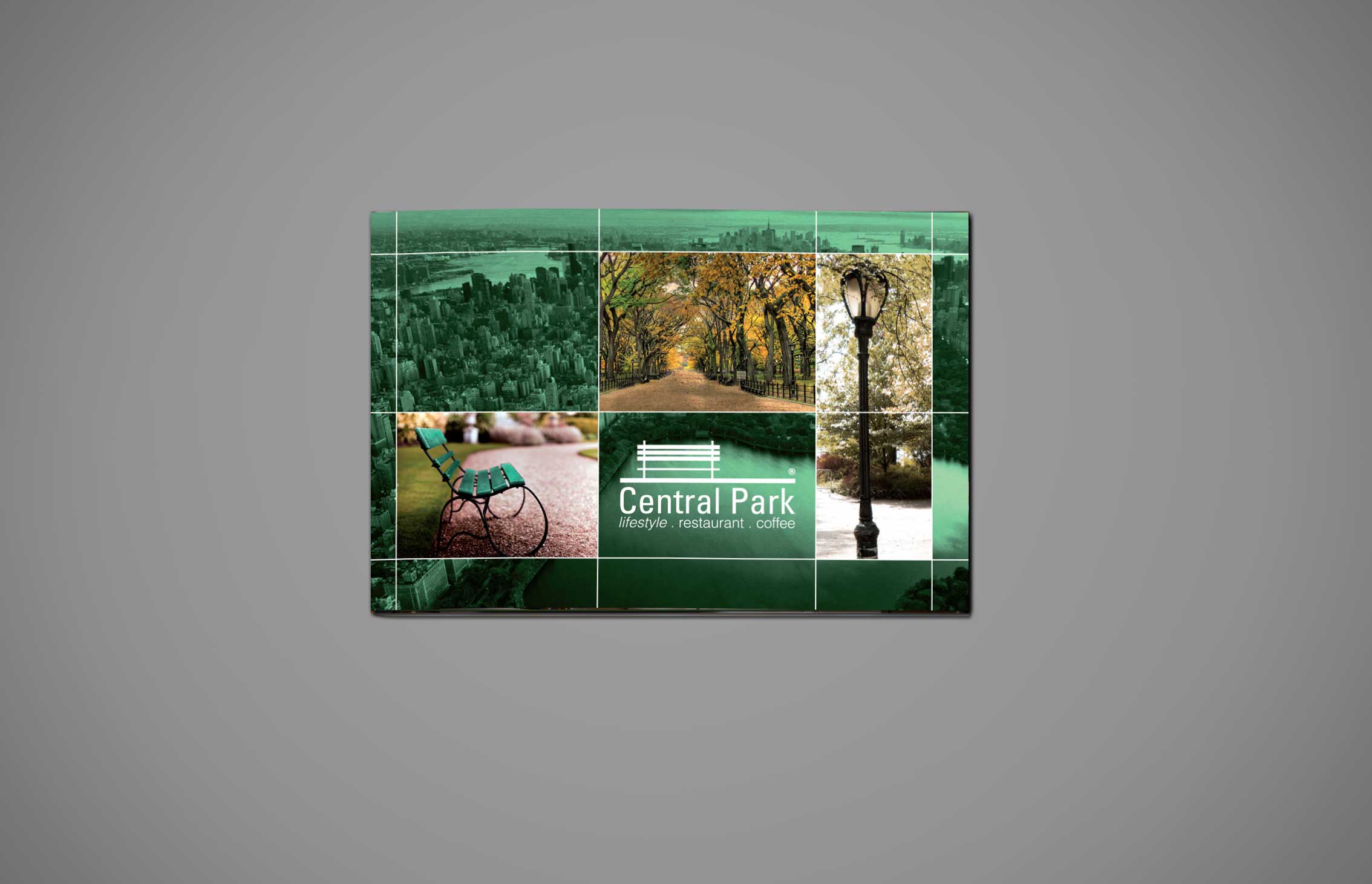 Central Park Brochure